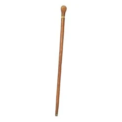 Dual Function Cane