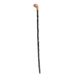 Pistol Grip Blackthorn Cane