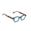 TV Party Readers 1 TV Party Readers -The J Peterman Shop tv party readers teal tortoise 483029